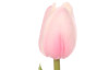 Umelý kvet Tulipán 34 cm, svetlo ružový