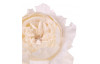 Umelá kvetina Anglická ruža 51 cm, biela