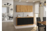 Predný panel na vstavnú kuchynskú umývačku Modena, 60 cm, dub artisan/čierna
