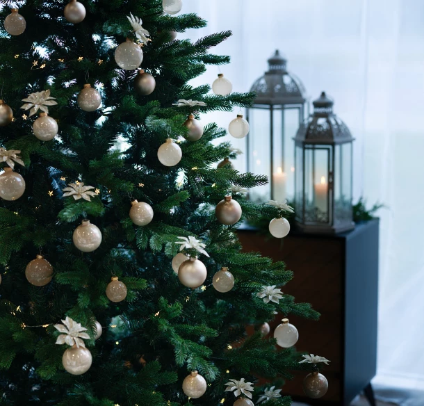 Šťastné a čarovné