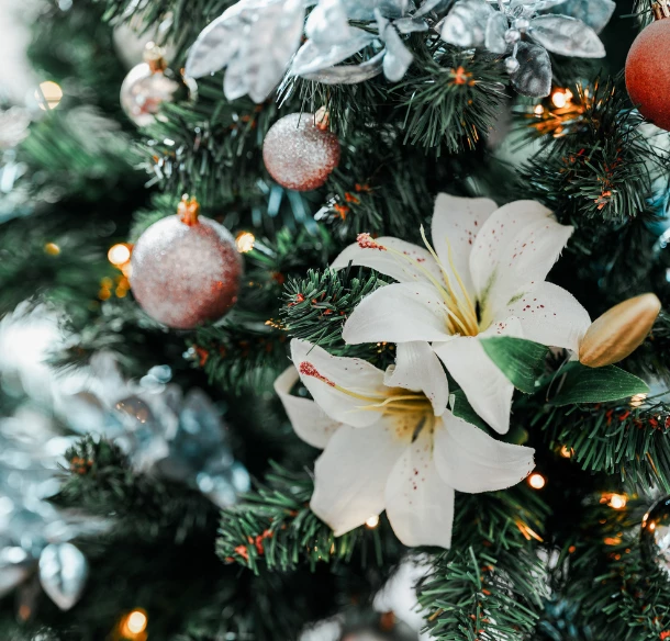 GLAMOUR ALEBO KLASIKA?