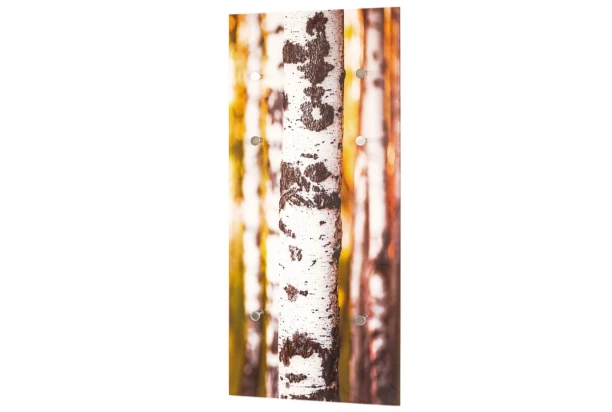 Závesný vešiakový panel motív breza