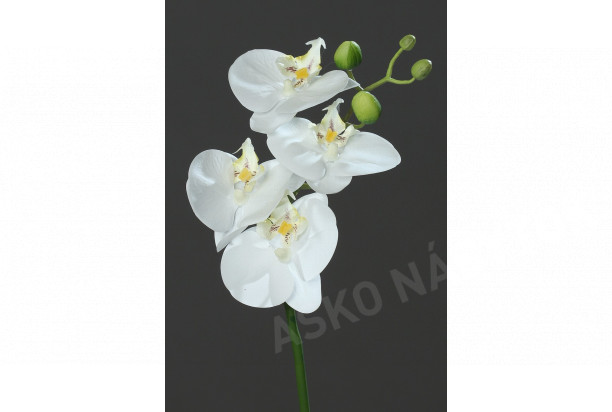 Umelý kvet Naturel Orchidea, krémová