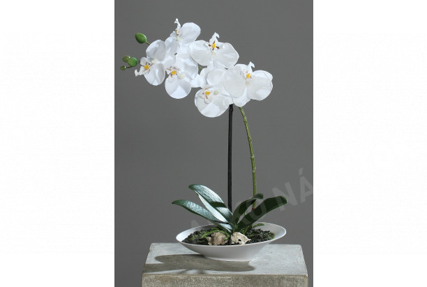 Umelá kvetina Orchidej v misce 32 cm, krémová