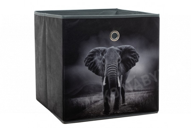 Úložný box Alfa, motív slon v divočine