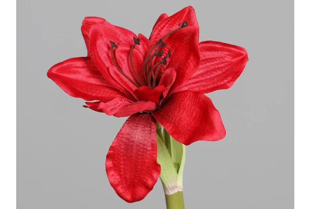 Umelá kvetina Vianočný amarylis 30 cm, červená