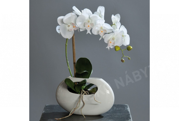 Umelá kvetina Orchidea vo váze, krémová