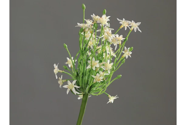 Umelá kvetina Cesnak 70 cm, krémový