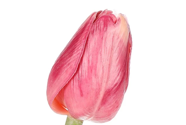 Umelá kvetina Tulipán 43 cm, ružová