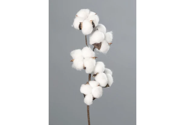 Umelá kvetina Bavlník 49 cm, biela