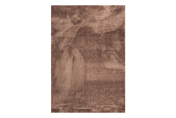 Koberec Tiara 120x170 cm, hnedý