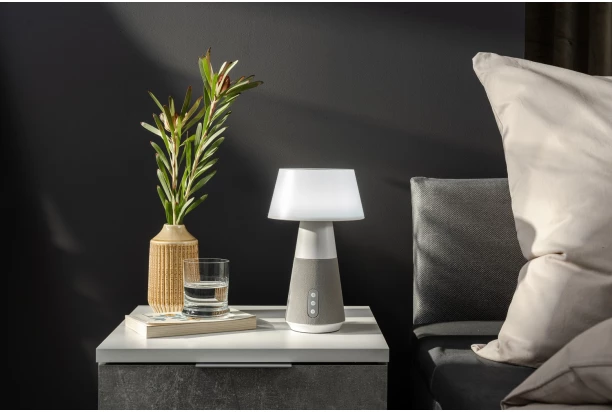 Stolná LED lampa DJ 28 cm, bluetooth, sivá/biela