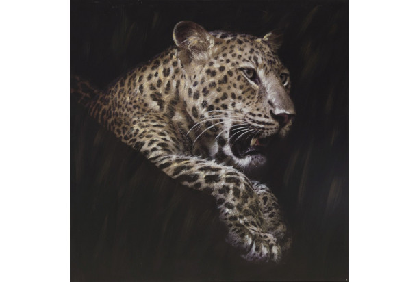 Obraz na stenu Original Rimbo 100x100 cm, Leopard