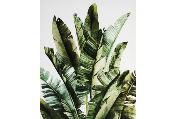 Obraz na plátne Zelené listy, 40x50 cm