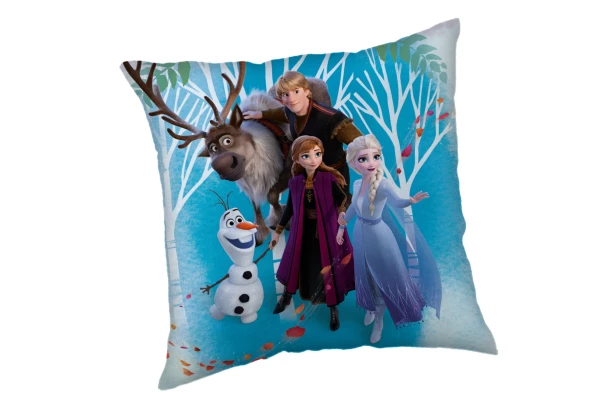 Detský vankúšik Disney Frozen, 40x40 cm