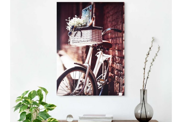 Obraz na plátne Bicykel s košíkom, 50x70 cm