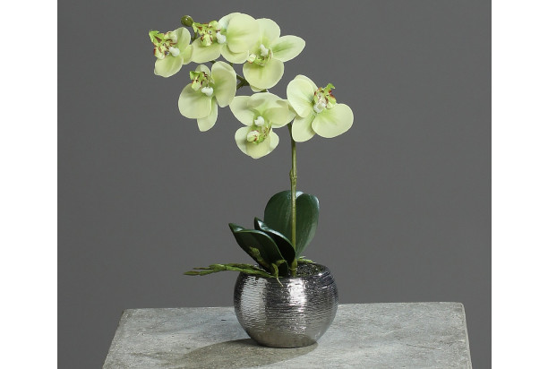Umelá kvetina Orchidea v kvetináči, krémová