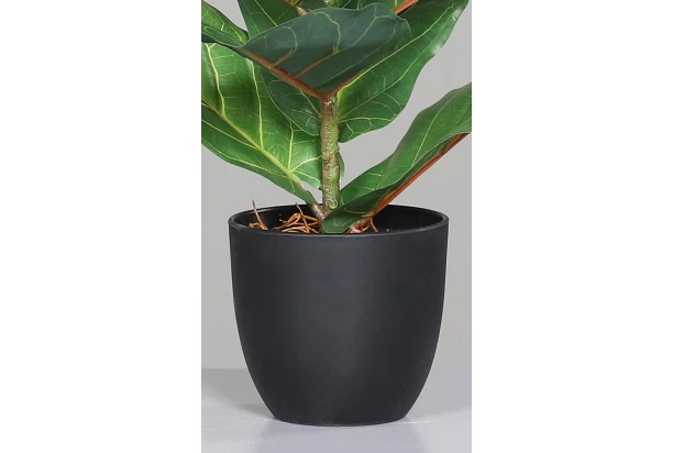 Umelá rastlina v kvetináči Figovník, 40 cm