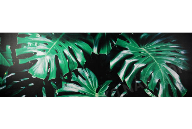 Obraz na plátne Zelené listy na čiernom pozadí, 150x50 cm