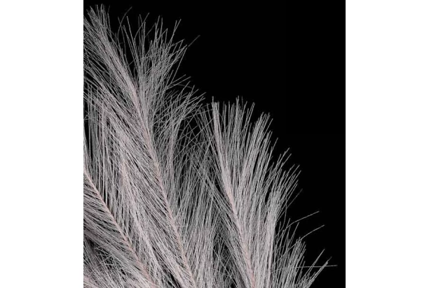 Umelá kvetina Pampas tráva 77 cm, krémová