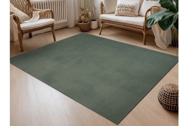 Koberec Albi 160x230 cm, zelený