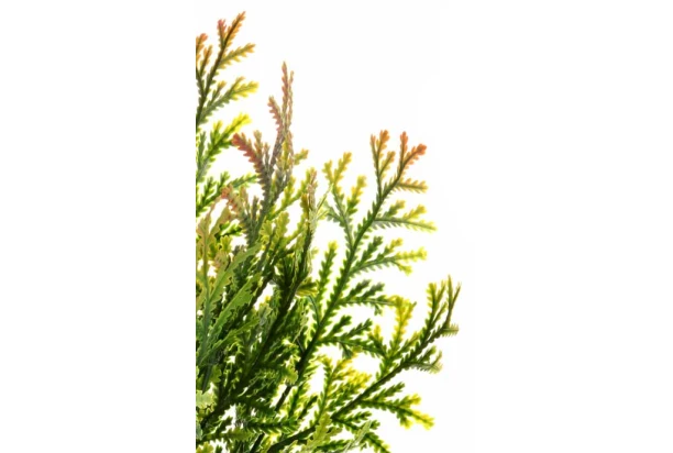 Umelý kvet Tuja 37 cm, zelená
