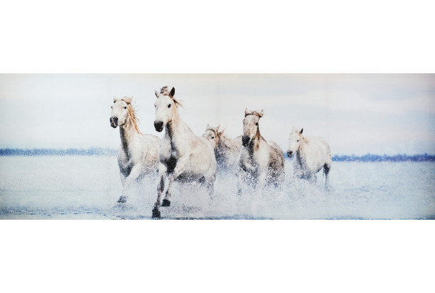 Obraz na plátne Stádo koní, 150x50 cm