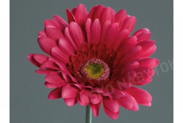 Umelá kvetina Gerbera 56 cm, fuchsiová