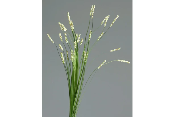 Umelá kvetina Tráva 70 cm, krémová