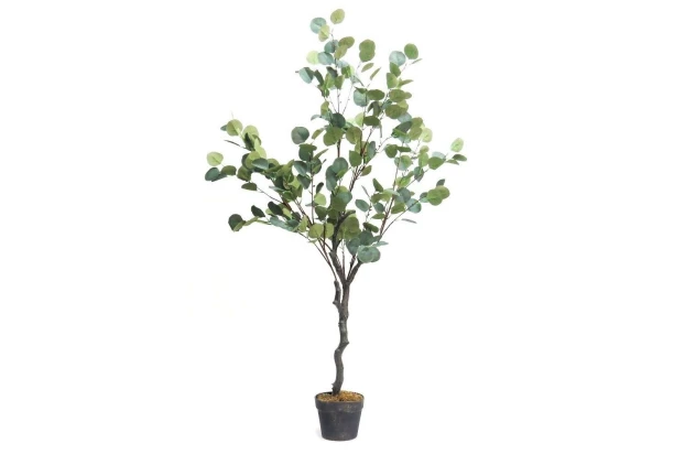 Umelá rastlina v kvetináči Eukalyptus strom, 85 cm