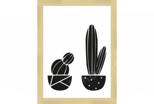 Rámovaný obraz Nordic kaktusy, 18x24 cm