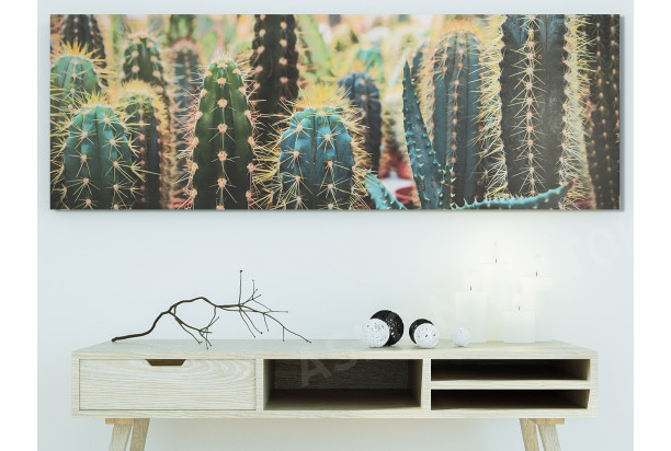 Obraz na plátne Kaktusy, 150x50 cm