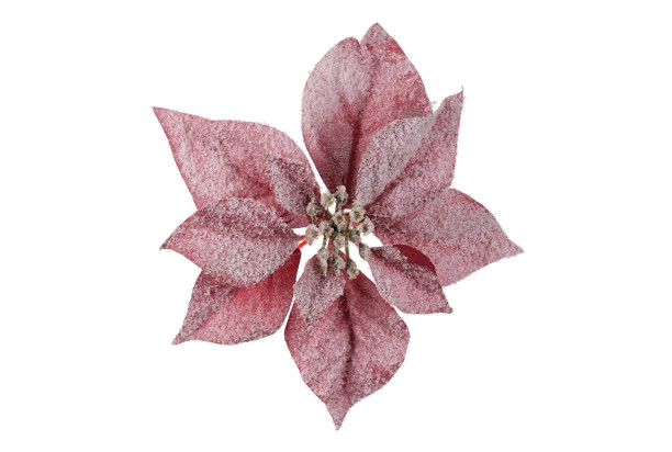 Umelý kvet Zasnežená vianočná zviezda 22 cm, červená