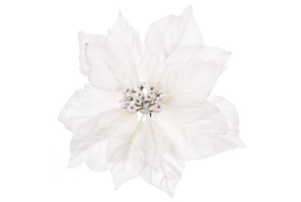 Umelý kvet Zasnežená vianočná hviezda 22 cm, biela