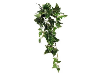 Umelá rastlina Brečtan panašovaný 72 cm, zelený