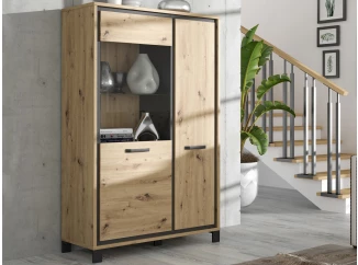 Nízká vitrína Trondheim 101 cm, dub artisan/dub čierny