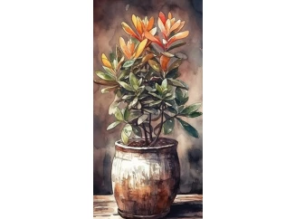 Obraz na plátne Akvarelový sukulent, 20x40cm