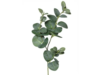 Umelá rastlina Eukalyptus 64 cm, zelená