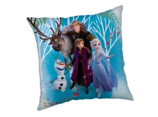 Detský vankúšik Disney Frozen, 40x40 cm