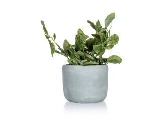 Umelá rastlina v kvetináči 18 x 20 cm, zelená