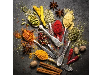 Obraz na plátne Pestrofarebné korenie, 35x35 cm