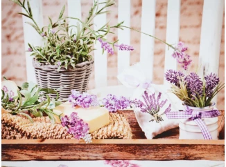 Obraz na plátne Levanduľové zátišie, 40x30 cm