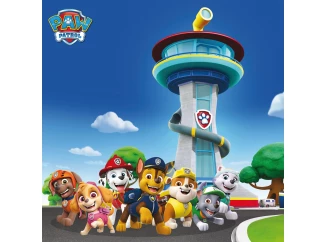 Detský obraz Paw Patrol veľká partia, 35x35 cm
