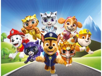 Detský obraz Paw Patrol na ceste, 61x46 cm