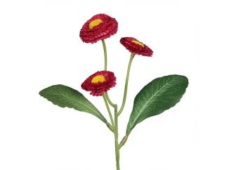 Umelá kvetina Sedmokráska 24 cm, vínová