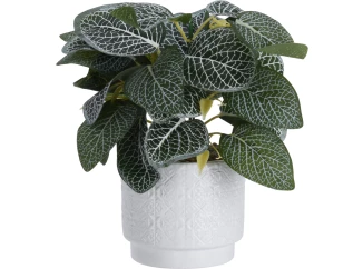 Umelá rastlina v kvetináči 28 cm, bielo-zelené listy