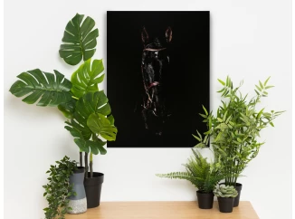 Obraz na plátne Čierny žrebec, 60x80 cm