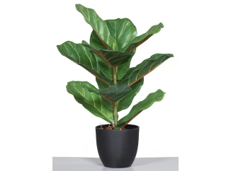 Umelá rastlina v kvetináči Figovník, 40 cm