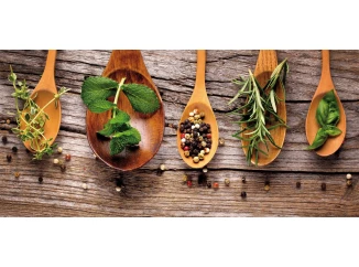 Obraz na stenu Korenie, 70x33 cm