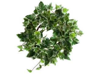 Umelá rastlina Veniec brečtanu, 25 cm